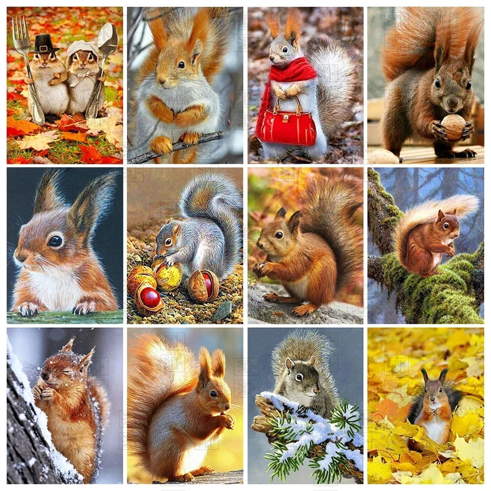 

Diamond Painting Animal Diamond Embroidery 5D Diy Cross Stitch Set Squirrel Mosaic Full Drill Art Picture Home Decoration Gift