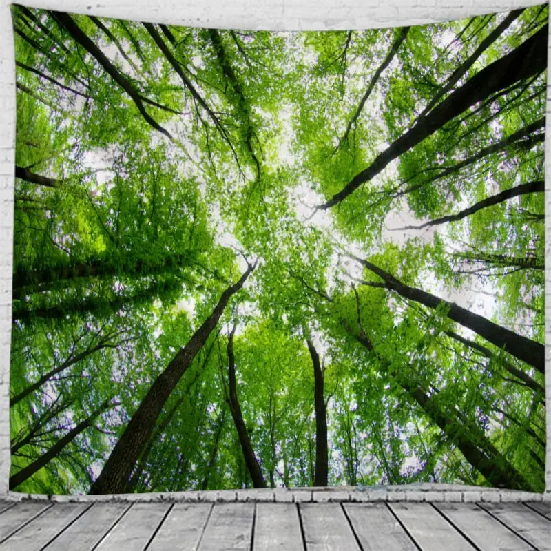 Misty Forest Tapestry Wall Hanging Nature Landscape Tapestry Sunshine Through Tree Tapestries for Bedroom Living Room Decoration
Misty Forest Tapestry Wall Hanging Nature Landscape Tapestry Sunshine Through Tree Tapestries for Bedroom Living Room Decoration