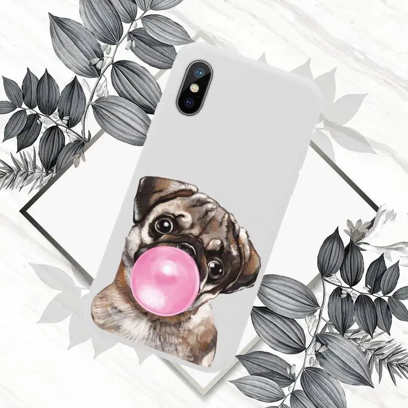 Frenchies Pretty puppy Pug Bulldog Phone Case Candy Color for iPhone 11 12 mini pro XS MAX 8 7 6 6S Plus X SE 2020 XR
Frenchies Pretty puppy Pug Bulldog Phone Case Candy Color for iPhone 11 12 mini pro XS MAX 8 7 6 6S Plus X SE 2020 XR