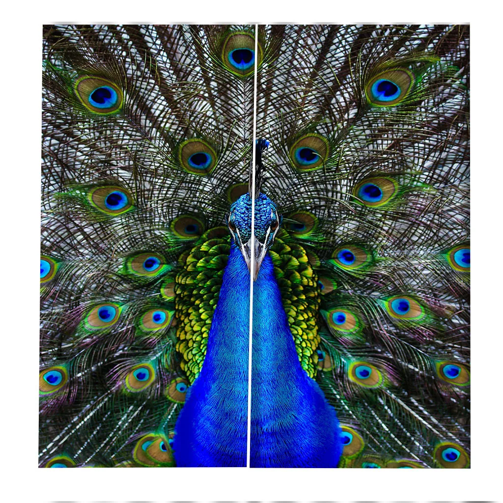 3D Printing Peacock Blackout Curtains for Living Room Luxury Bedroom Decor Window Blinds Personalized Curtain Customization
3D Printing Peacock Blackout Curtains for Living Room Luxury Bedroom Decor Window Blinds Personalized Curtain Customization