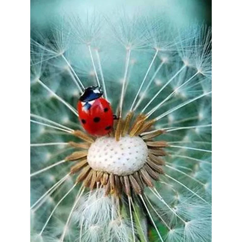 Diamond Painting Landscape Dandelion Diamond Embroidery Scenery Full Square Diamond Mosaic Painting Cross Stitch Kit
Diamond Painting Landscape Dandelion Diamond Embroidery Scenery Full Square Diamond Mosaic Painting Cross Stitch Kit