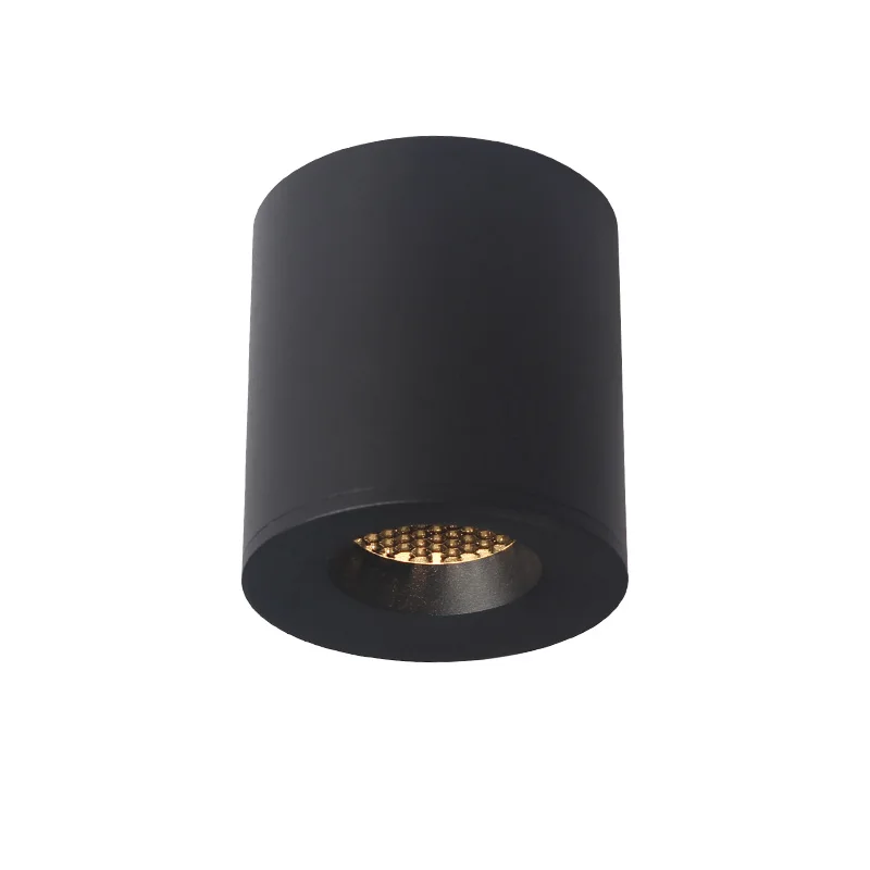 Aisilan LED Ceiling Light COB Super anti-glare Spot light Surface Mounted Down Light for Living room, Corridor, AC 90v-260v
Aisilan LED Ceiling Light COB Super anti-glare Spot light Surface Mounted Down Light for Living room, Corridor, AC 90v-260v