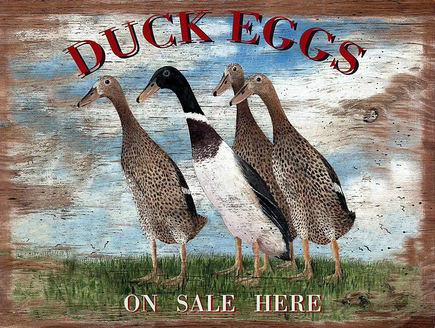 nobrand Duck Eggs, Retro Metal Tin Sign Poster Plaque Garage Wall Decor 8x12 inch
nobrand Duck Eggs, Retro Metal Tin Sign Poster Plaque Garage Wall Decor 8x12 inch