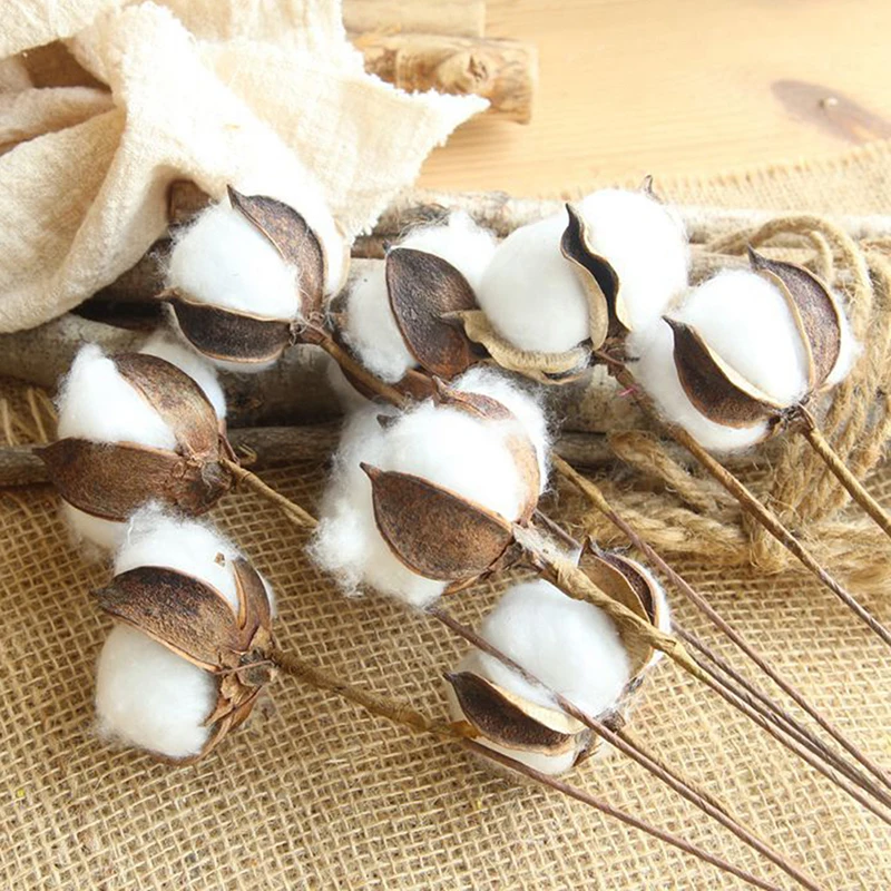 5pcs Natural Dried Cotton Flower + Artificial Branch Wedding Party Home Decor
5pcs Natural Dried Cotton Flower + Artificial Branch Wedding Party Home Decor