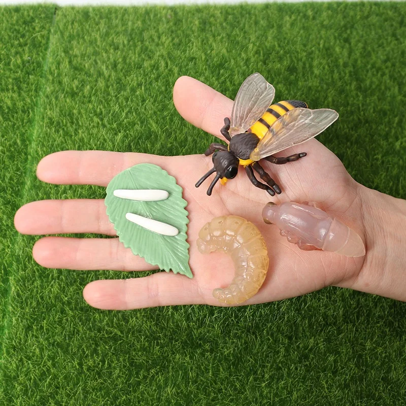 Simulation Fascinating Creatures Bee Animals Model Life Cycle of a Honey Bee Action Figures Miniature Educational Toys
Simulation Fascinating Creatures Bee Animals Model Life Cycle of a Honey Bee Action Figures Miniature Educational Toys