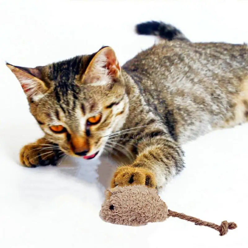 3PCS Mouse Cat Toy Plush Mice Palying Toy For Cat Kitten Cat Scratch Bite Resistance Interactive Mouse Toy For Pet Cat
3PCS Mouse Cat Toy Plush Mice Palying Toy For Cat Kitten Cat Scratch Bite Resistance Interactive Mouse Toy For Pet Cat