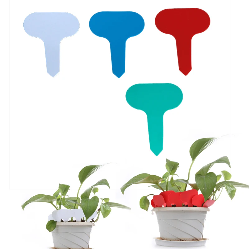 50pcs Nursery Garden Gray Plastic Plant T-type Markers Plant Tags Nursery Garden Labels JDH88
50pcs Nursery Garden Gray Plastic Plant T-type Markers Plant Tags Nursery Garden Labels JDH88