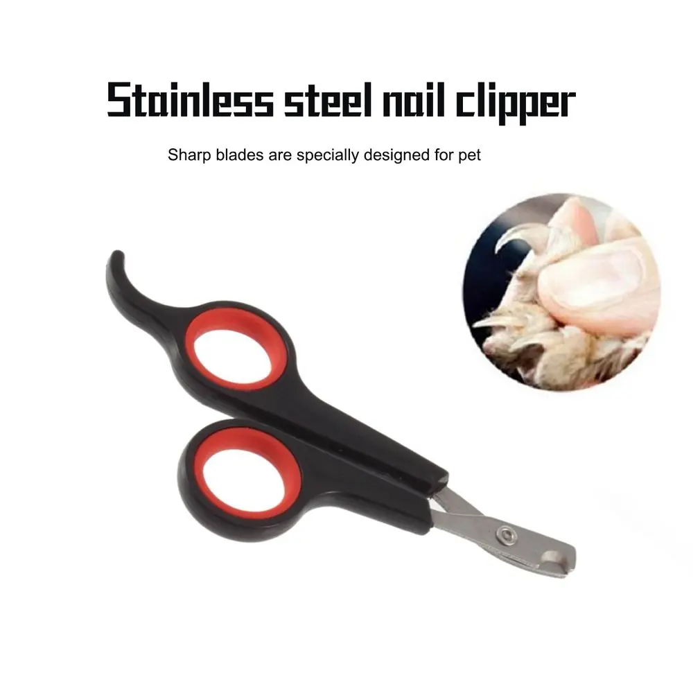 Nail Cutter Claw Puppy Kitty Pet Scissor Toe Clipper Grooming Tool Trimmer Cat Rabbit Large Big Dog Toenail Paw Animal Shear
Nail Cutter Claw Puppy Kitty Pet Scissor Toe Clipper Grooming Tool Trimmer Cat Rabbit Large Big Dog Toenail Paw Animal Shear