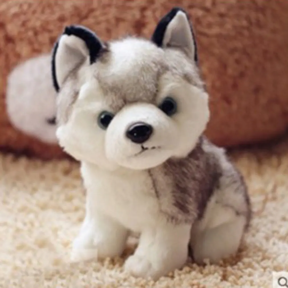 Husky Doll Plush Toy Simulation Animal Husky Dog Doll Toys Children's Birthday Present Sofa Decoration
Husky Doll Plush Toy Simulation Animal Husky Dog Doll Toys Children's Birthday Present Sofa Decoration