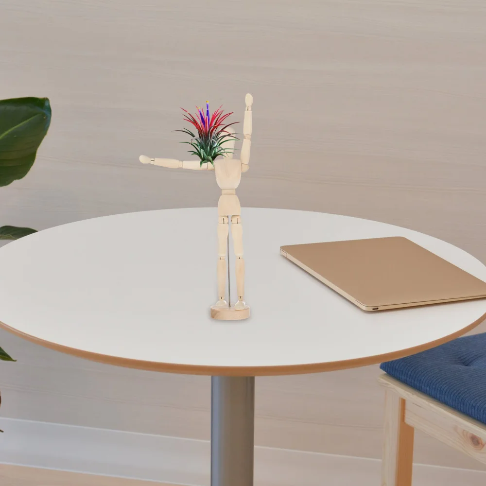 Wooden Air Plant Holder Plant Display Stand Joint Puppet Desktop Decoration
Wooden Air Plant Holder Plant Display Stand Joint Puppet Desktop Decoration