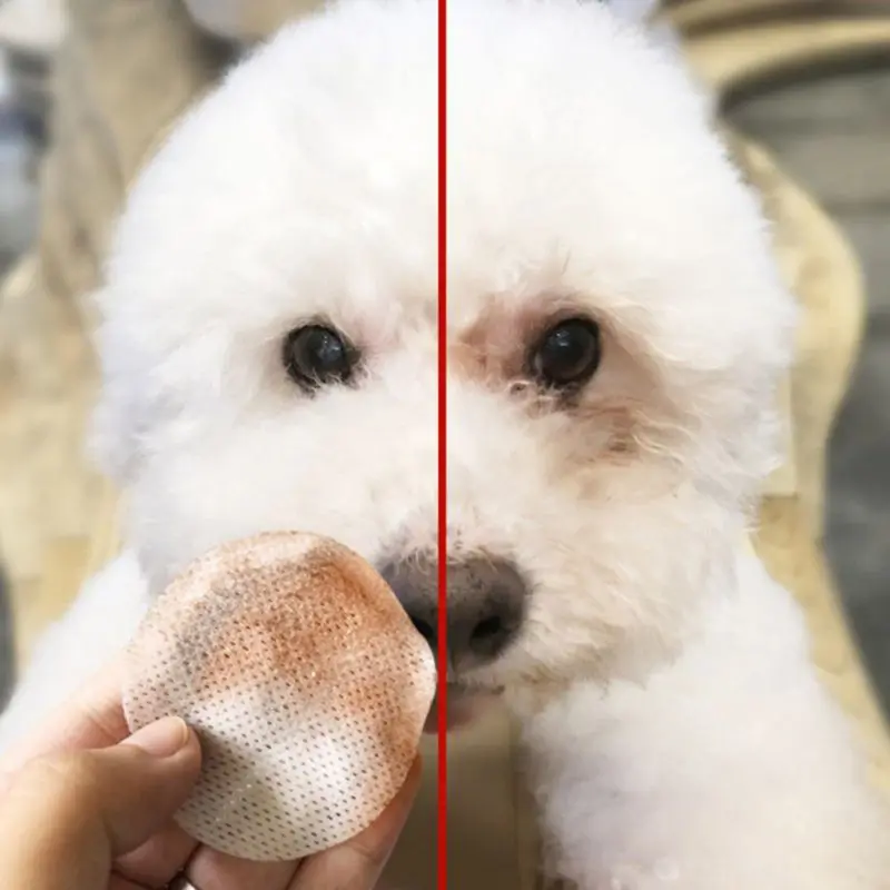 100Pcs Pet Eye Wet Wipes Cat Dog Tear Stain Remover Cleaning Wipes Grooming Paper Towels
100Pcs Pet Eye Wet Wipes Cat Dog Tear Stain Remover Cleaning Wipes Grooming Paper Towels