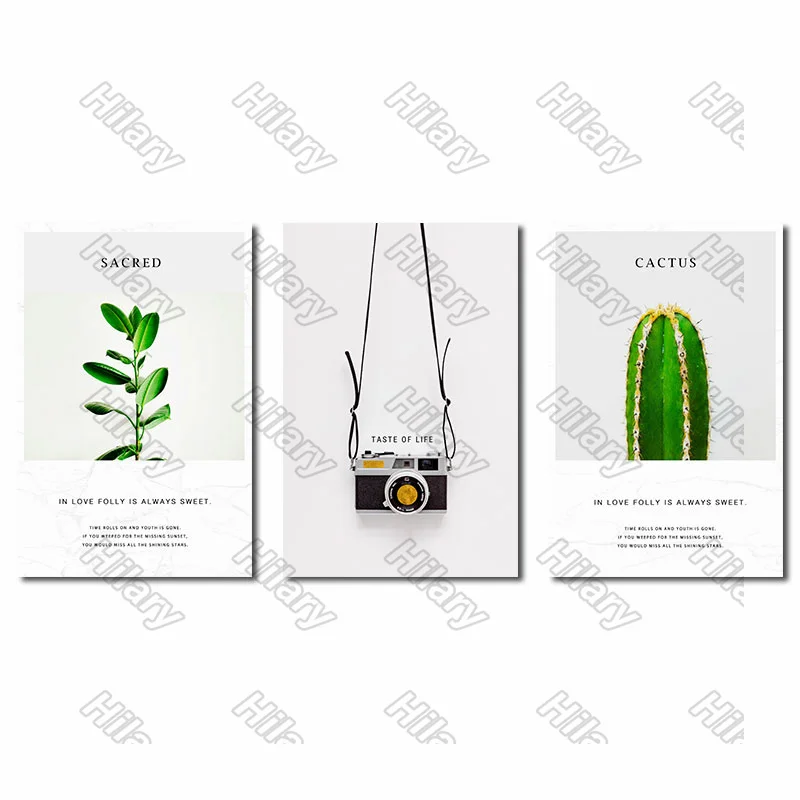 Posters plant camera flowers Canvas Painting Posters and Prints Wall Art Pictures for Living Room and Bedroom Frameless 3Pcs
Posters plant camera flowers Canvas Painting Posters and Prints Wall Art Pictures for Living Room and Bedroom Frameless 3Pcs