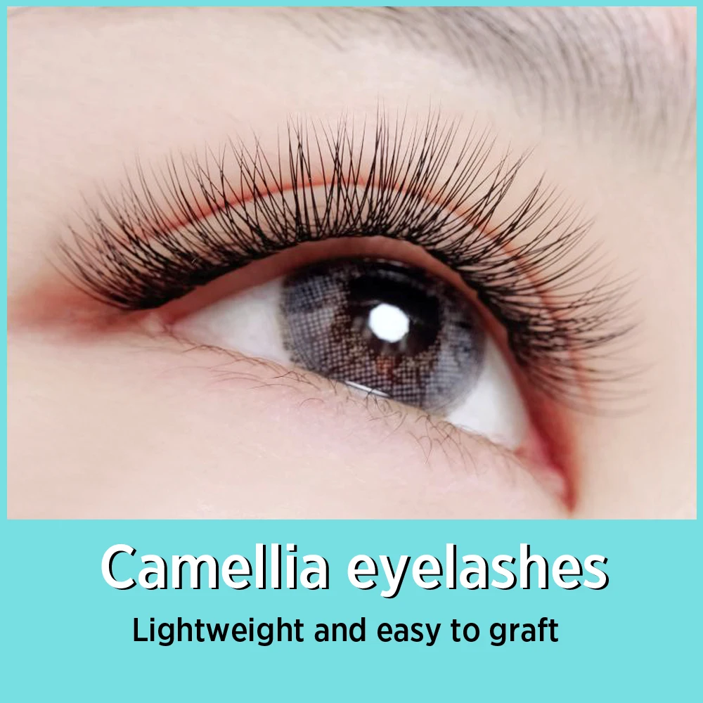 Individual Lash Extension Fake Eyelashes for Eyelash Extension Individual False Eyelashes Eyelash Enhancement Makeup Wholesale
Individual Lash Extension Fake Eyelashes for Eyelash Extension Individual False Eyelashes Eyelash Enhancement Makeup Wholesale