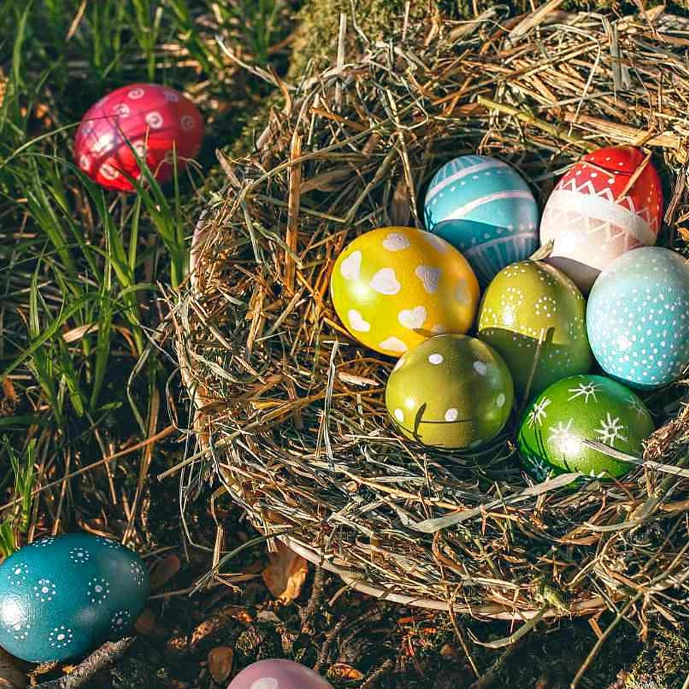 10pcs Easter Decoration Foam Eggs DIY Modelling Polystyrene Styrofoam Eggs Ball Easter Party Decorations For Home Kids Gifts Toy
10pcs Easter Decoration Foam Eggs DIY Modelling Polystyrene Styrofoam Eggs Ball Easter Party Decorations For Home Kids Gifts Toy