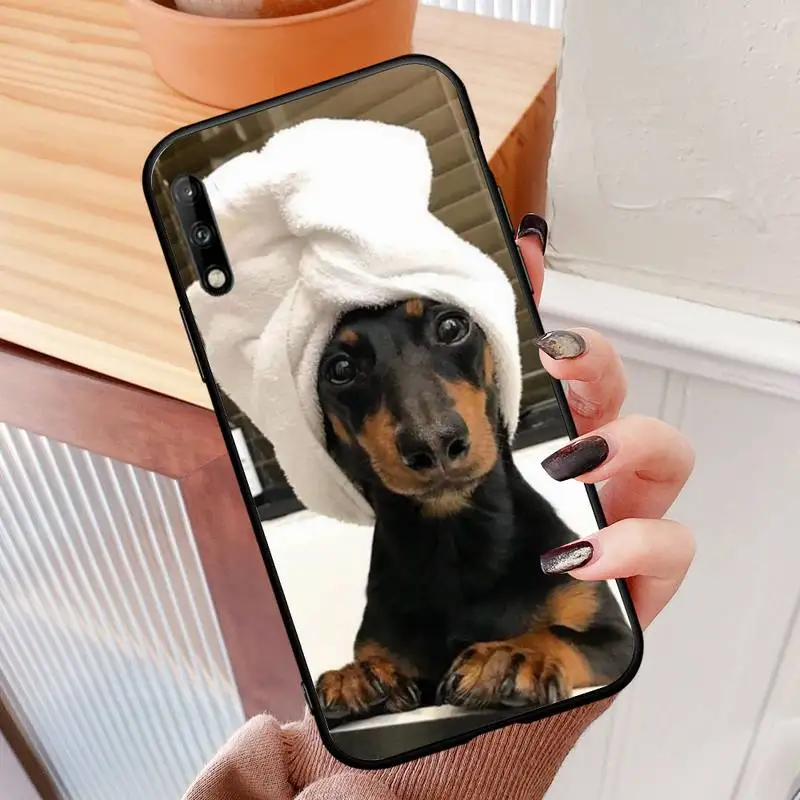 Doberman animal dog Phone Case For Samsung A51 6 7 8 9 71 10 20 40 50 70 30 S Plus 2018 Cover Fundas Coque
Doberman animal dog Phone Case For Samsung A51 6 7 8 9 71 10 20 40 50 70 30 S Plus 2018 Cover Fundas Coque