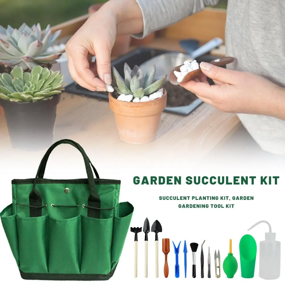 14pcs Storage Bag Garden Tool Set Succulent Planting Hand Tools Heavy Duty Gardening Kit With Storage Tote Bag
14pcs Storage Bag Garden Tool Set Succulent Planting Hand Tools Heavy Duty Gardening Kit With Storage Tote Bag