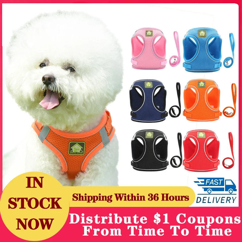 All Seasons Dog Collar And Leash Dogs Harness Dog Accessories Dog Led Personalized Dog Harness No Pull Small Dog Harness Seresto
All Seasons Dog Collar And Leash Dogs Harness Dog Accessories Dog Led Personalized Dog Harness No Pull Small Dog Harness Seresto