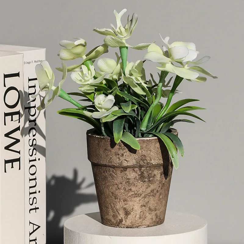 The New Small International Pot Pulp Basin Simulation Plant Small Butterfly Orchid Potted Plant Home Decoration Fake Plants
The New Small International Pot Pulp Basin Simulation Plant Small Butterfly Orchid Potted Plant Home Decoration Fake Plants