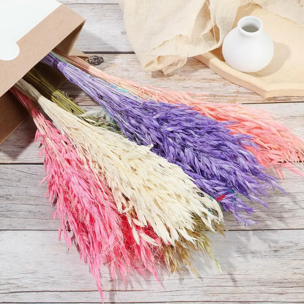 Natural Material Real Flower Wheat Ear Grass Dried Props Flowers Deco Bouquets Stems DIY Craft Shoot Plant Home Wedding Par E0D1
Natural Material Real Flower Wheat Ear Grass Dried Props Flowers Deco Bouquets Stems DIY Craft Shoot Plant Home Wedding Par E0D1