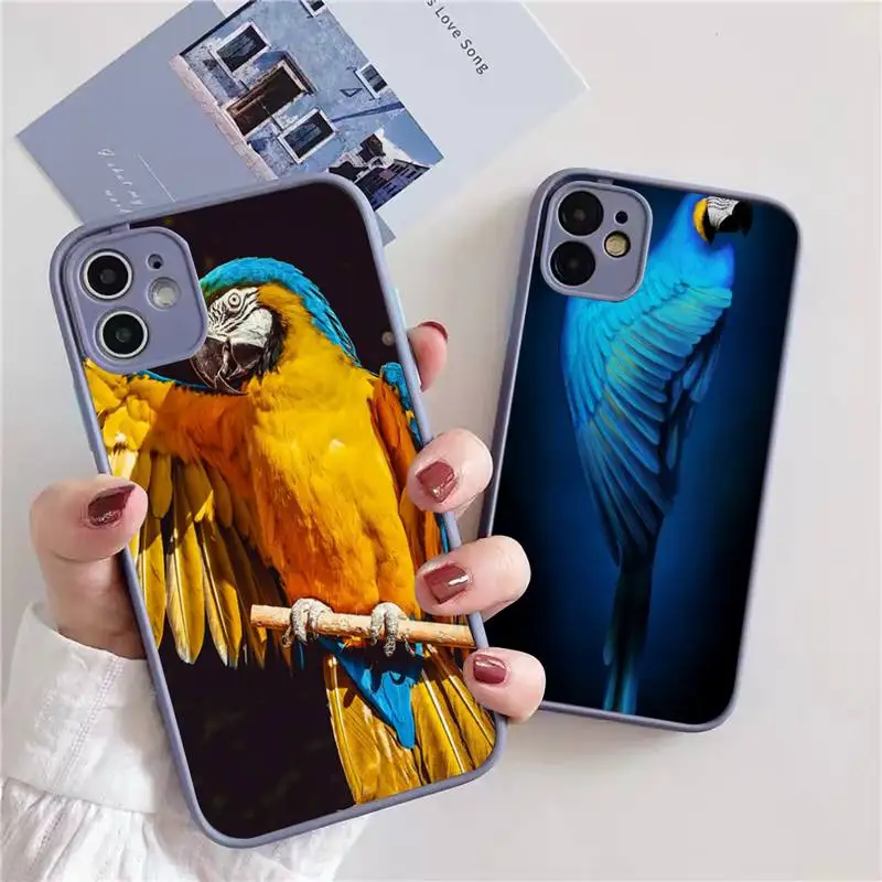 Cartoon parrot Phone Case For iphone 13 12 11 xr xs x 7 8 pro max Light gray Soft TPU Silicone Clear Case Cover
Cartoon parrot Phone Case For iphone 13 12 11 xr xs x 7 8 pro max Light gray Soft TPU Silicone Clear Case Cover