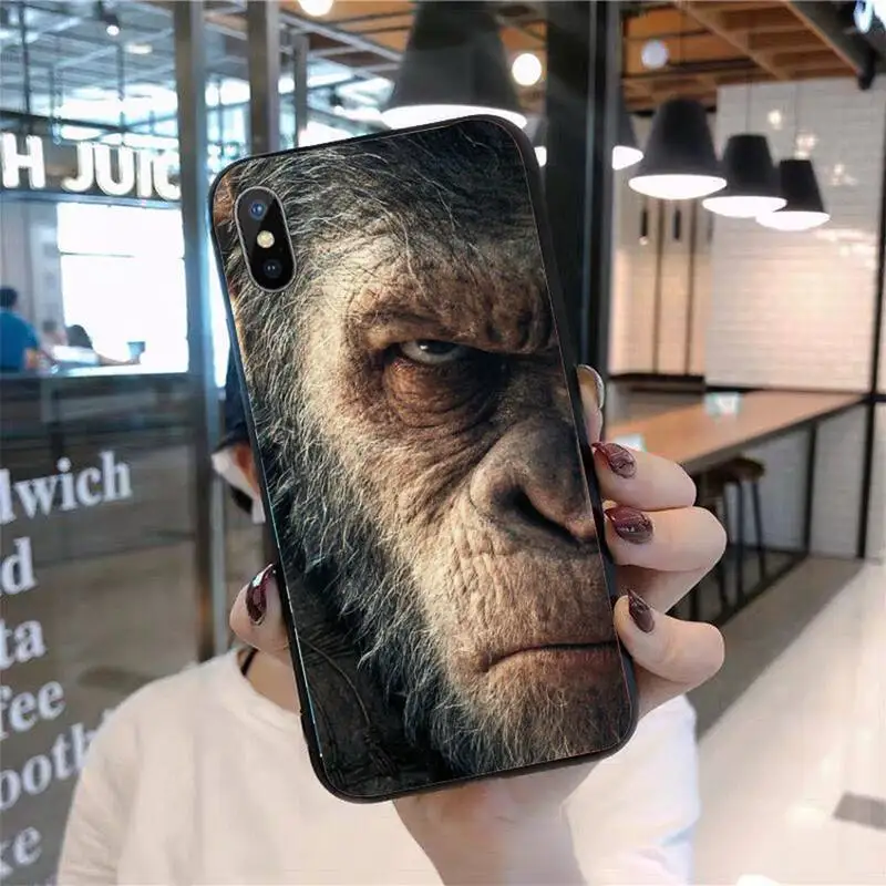 Orangutan lion tiger Phone Case for iPhone 11 12 pro XS MAX 8 7 6 6S Plus X 5S SE 2020 mini
Orangutan lion tiger Phone Case for iPhone 11 12 pro XS MAX 8 7 6 6S Plus X 5S SE 2020 mini