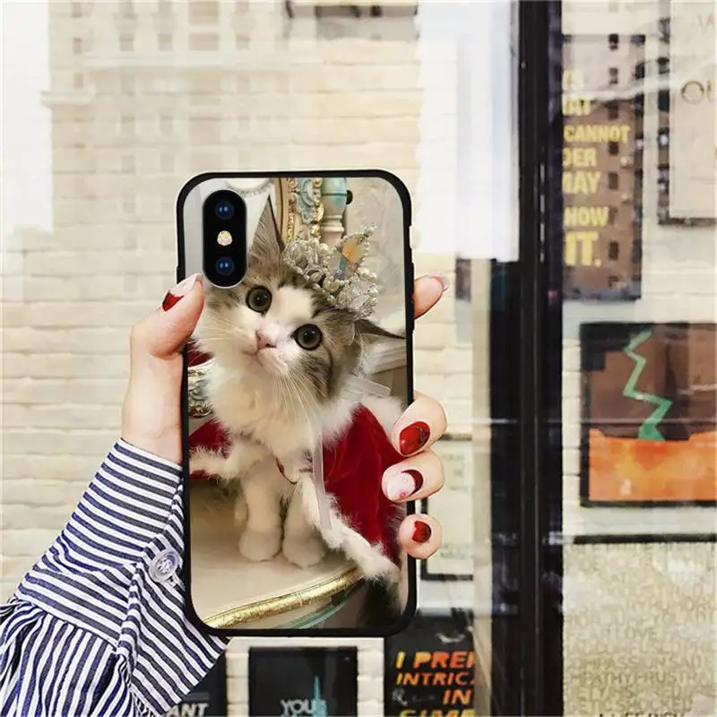 Funny animal cat Phone Case for iPhone 11 12 mini pro XS MAX 8 7 6 6S Plus X 5S SE 2020 XR
Funny animal cat Phone Case for iPhone 11 12 mini pro XS MAX 8 7 6 6S Plus X 5S SE 2020 XR