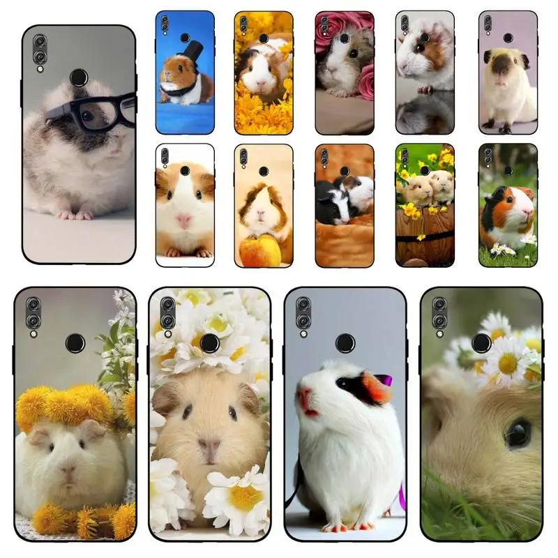 Babaite Guinea Pig Cute Animal Pet Blue Phone Case for Huawei Honor 10 i 8X C 5A 20 9 10 30 lite pro Voew 10 20 V30 
Babaite Guinea Pig Cute Animal Pet Blue Phone Case for Huawei Honor 10 i 8X C 5A 20 9 10 30 lite pro Voew 10 20 V30