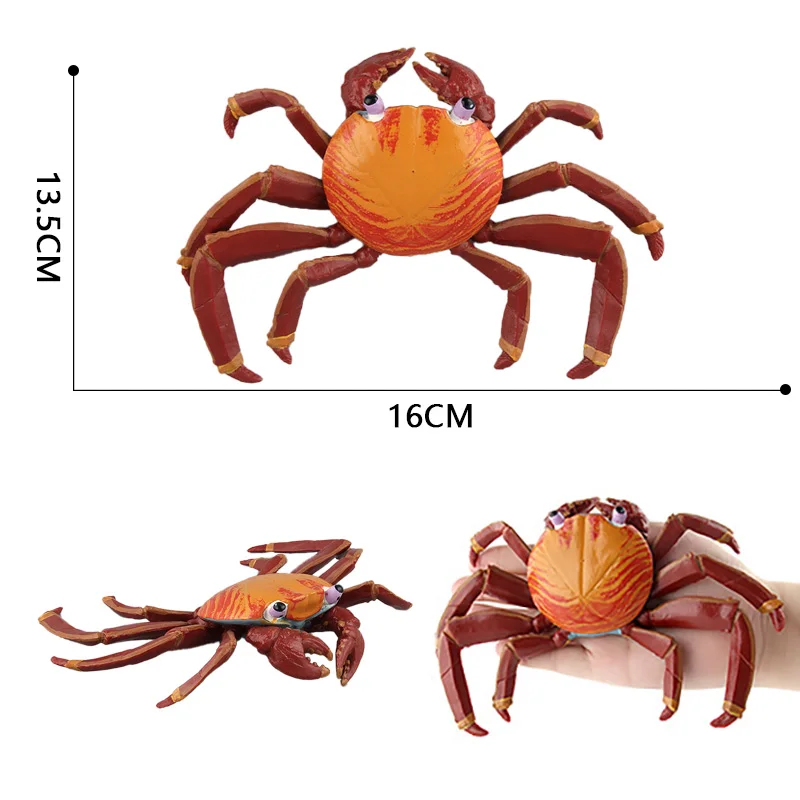 Моделирование морской жизни, модель животных, краб, игрушка, фигурка, Декор, фигурки для детей, развивающие игрушки, подарки
Моделирование морской жизни, модель животных, краб, игрушка, фигурка, Декор, фигурки для детей, развивающие игрушки, подарки