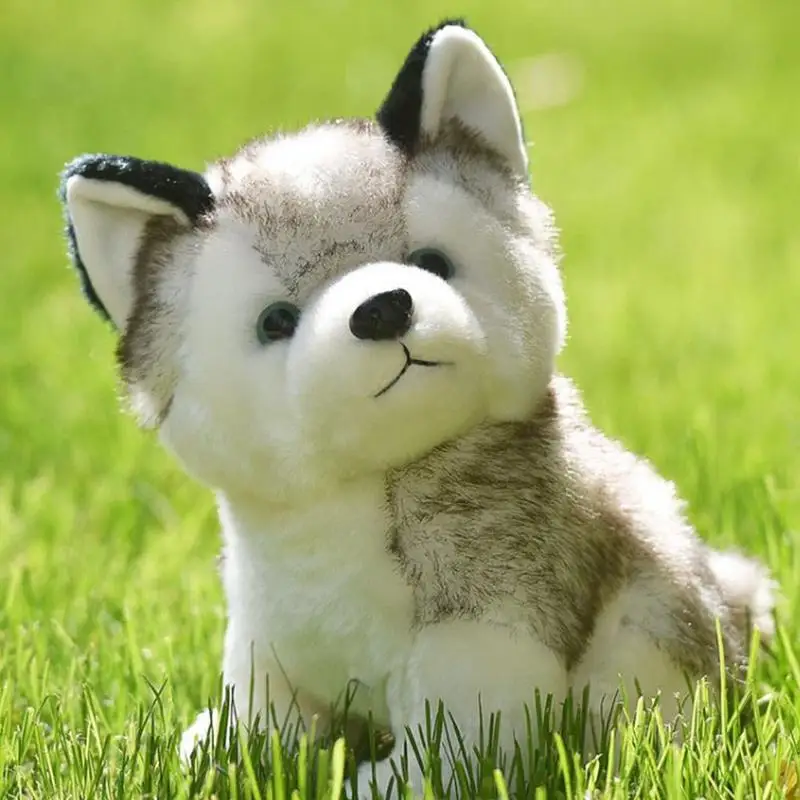 20cm Puppy Stuffed Toys Cute Simulation Husky Dog Toys Dolls Kids Stuffed Plush Plush Husky Child Toys Baby Dolls F9P0
20cm Puppy Stuffed Toys Cute Simulation Husky Dog Toys Dolls Kids Stuffed Plush Plush Husky Child Toys Baby Dolls F9P0