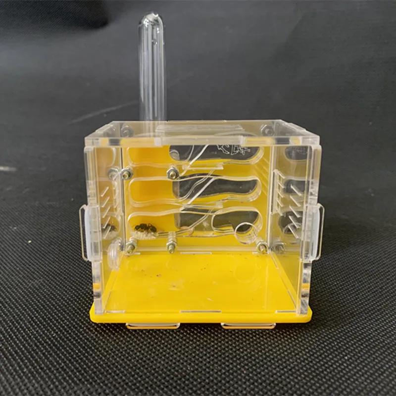 Yellow Acrylic Ant Nest Ant Small Tribe Bionic Ant Nest Ant Farm With Water Tower
Yellow Acrylic Ant Nest Ant Small Tribe Bionic Ant Nest Ant Farm With Water Tower