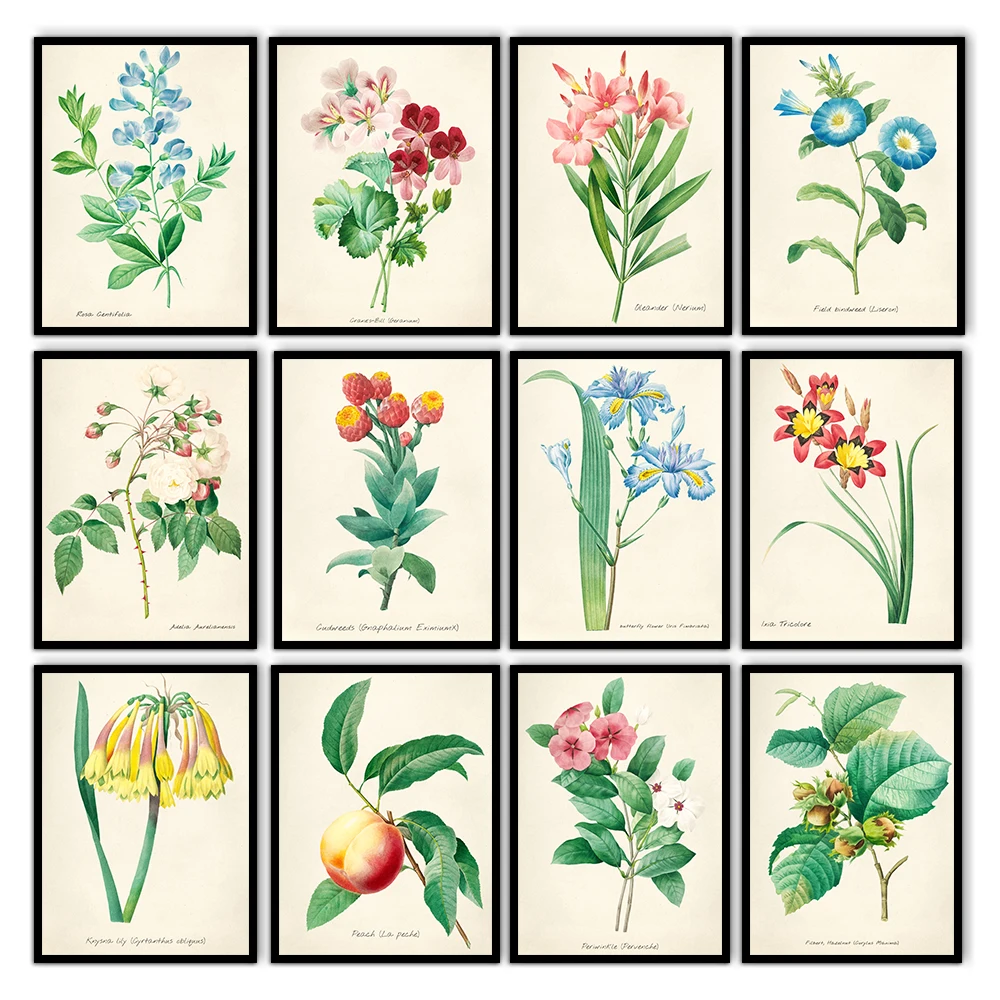 Wildflower Print Set of 12 Blue Botanical Wall Painting Vintage Flower Kitchen Trends Farmhouse Art No Frame Pictures
Wildflower Print Set of 12 Blue Botanical Wall Painting Vintage Flower Kitchen Trends Farmhouse Art No Frame Pictures