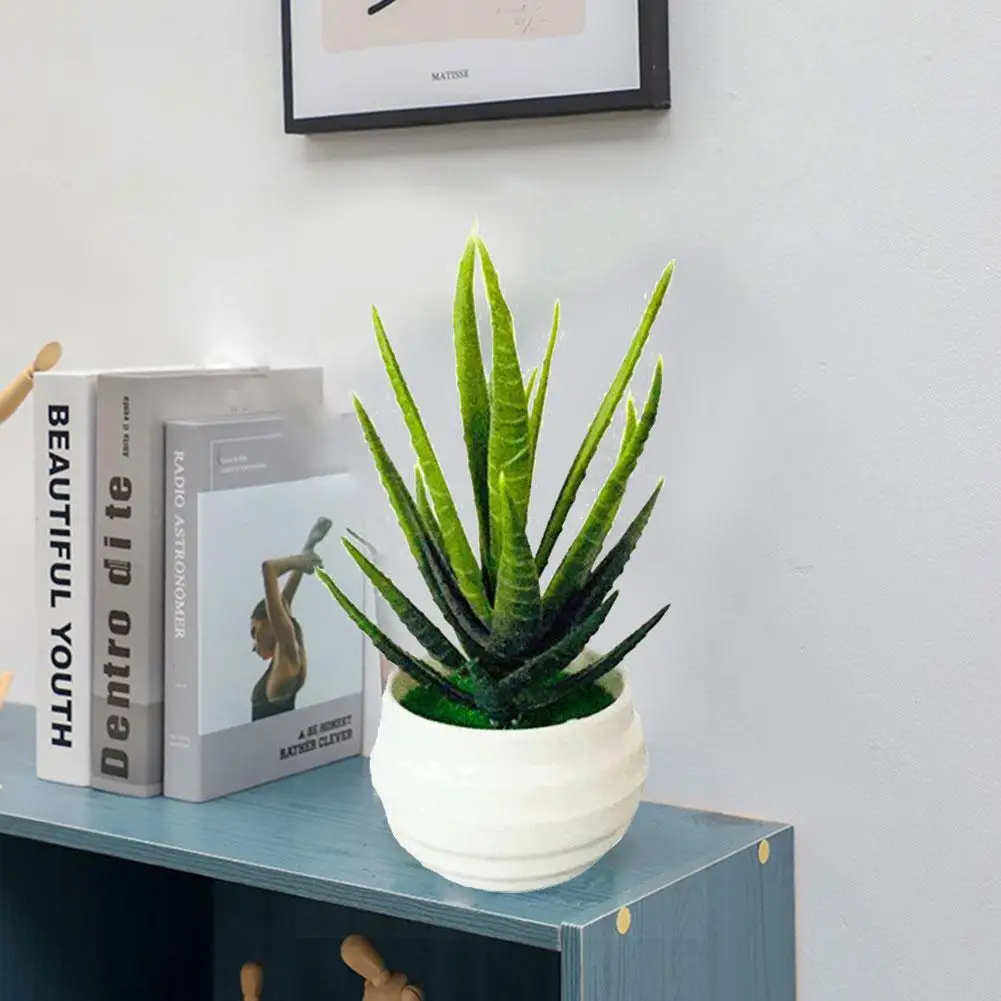Artificial Plant Potted Bonsai Green Small Tree Plants Fake Flower Aloe Ornaments for Home Garden Party Hotel Decor
Artificial Plant Potted Bonsai Green Small Tree Plants Fake Flower Aloe Ornaments for Home Garden Party Hotel Decor