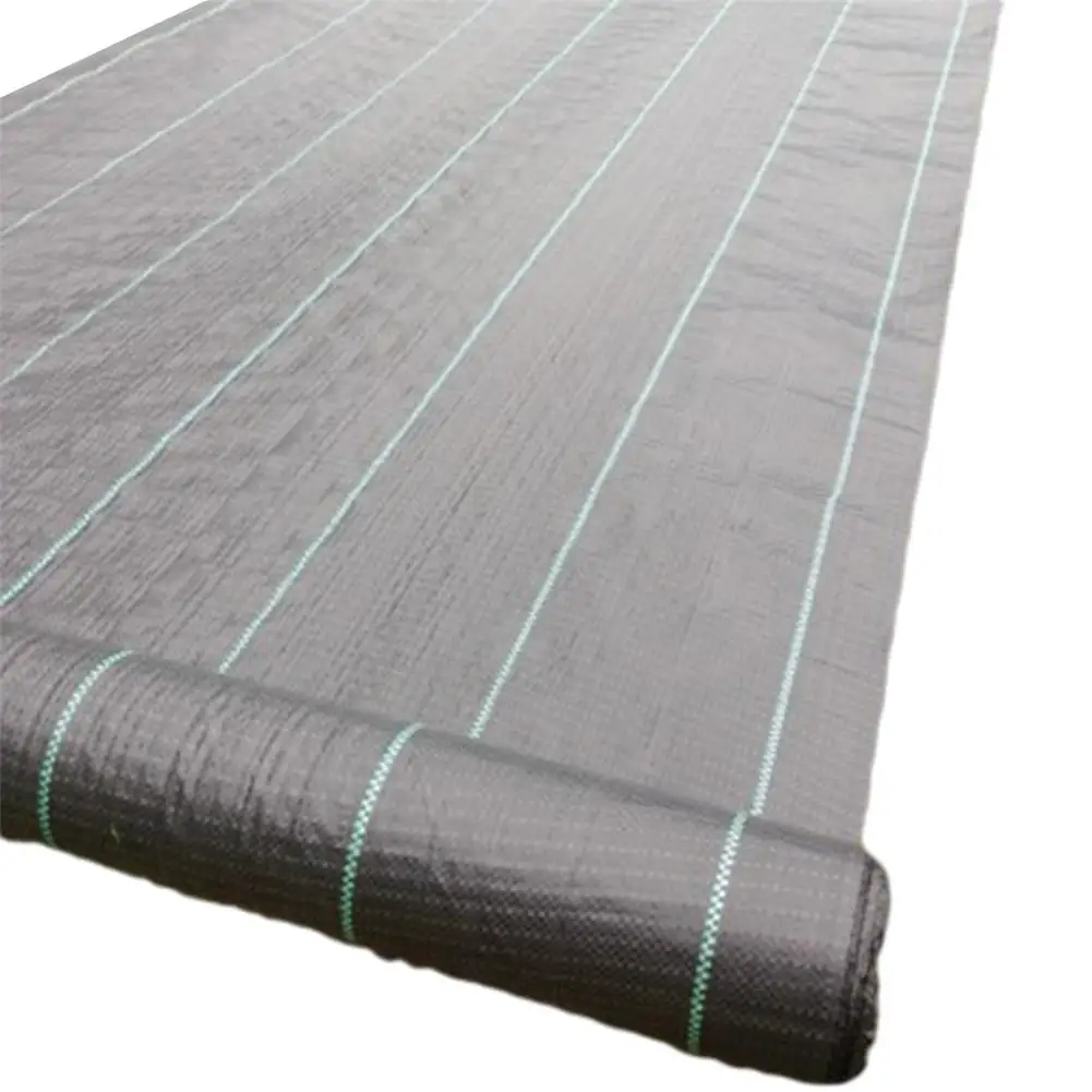 Garden Weed Barrier 35oz/70oz Durable Ground Cloth Geotextile Fabric Ultra Thick Anti-Weed Gardening Mat Weeds Control For Paver
Garden Weed Barrier 35oz/70oz Durable Ground Cloth Geotextile Fabric Ultra Thick Anti-Weed Gardening Mat Weeds Control For Paver