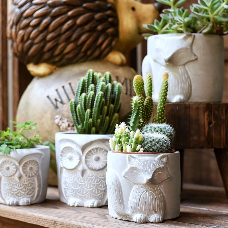 Mini Cute Animal Cement Flower Pot Design Cartoon Vintage Decor Indoor Plant Stand Outdoor Blumentopf Garden Decoration Ed50fp
Mini Cute Animal Cement Flower Pot Design Cartoon Vintage Decor Indoor Plant Stand Outdoor Blumentopf Garden Decoration Ed50fp