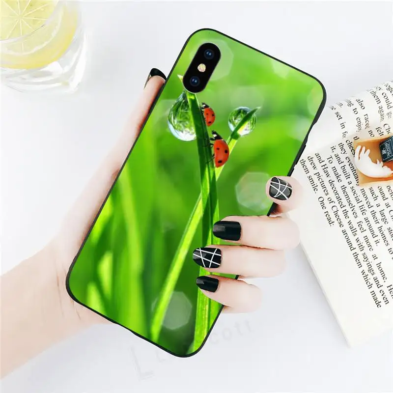 four leaf ladybug daisy animal Phone Case for iPhone 11 12 pro XS MAX 8 7 6 6S Plus X 5S SE 2020 XR
four leaf ladybug daisy animal Phone Case for iPhone 11 12 pro XS MAX 8 7 6 6S Plus X 5S SE 2020 XR