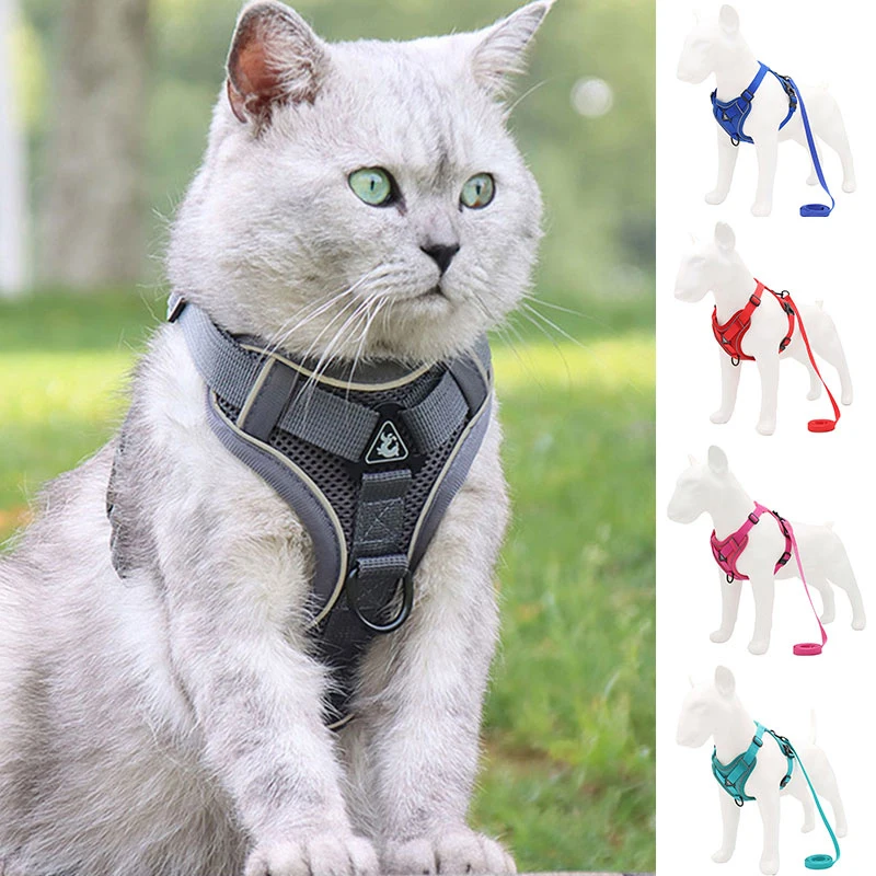 Vest-style Pet Chest Strap Breathable Cat Walking Leash Multicolor Pet Belt Reflective Dog Chest Straps Comfortable Dog Leashes
Vest-style Pet Chest Strap Breathable Cat Walking Leash Multicolor Pet Belt Reflective Dog Chest Straps Comfortable Dog Leashes