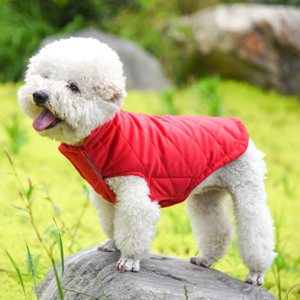 Winter New Style Dog Warm And Velvet Thick Coat High Collar Belly Adjustable Coat Sleeveless French Bulldog Clothing Pet Coat
Winter New Style Dog Warm And Velvet Thick Coat High Collar Belly Adjustable Coat Sleeveless French Bulldog Clothing Pet Coat