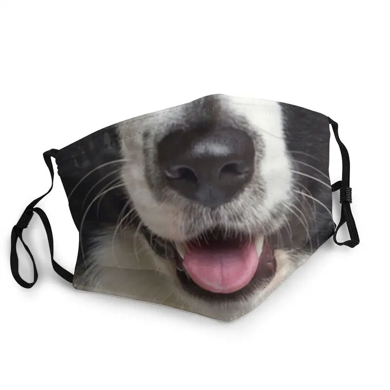 Карантинная маска для влюбленных собак Border Collie, дышащая маска для лица против пыли, защитный чехол, мужской респиратор, маска для рта
Карантинная маска для влюбленных собак Border Collie, дышащая маска для лица против пыли, защитный чехол, мужской респиратор, маска для рта