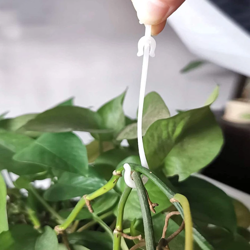 hot saleNew 100pcs Cherry Tomato Ear Hooks Garden Flower Vegetable Plant Support Home Hanging Supplies Accessories Tomato Clips
hot saleNew 100pcs Cherry Tomato Ear Hooks Garden Flower Vegetable Plant Support Home Hanging Supplies Accessories Tomato Clips