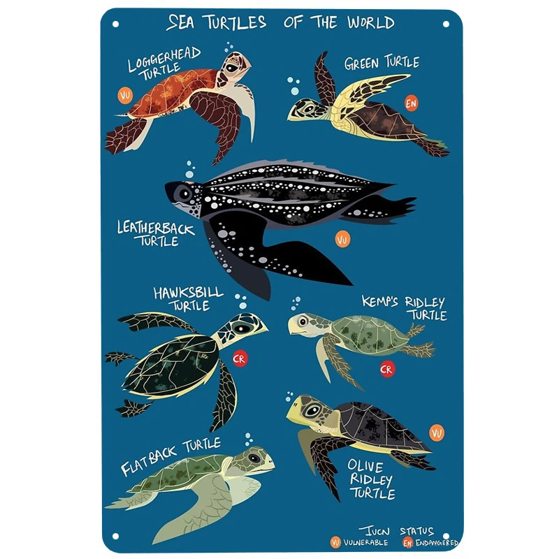 Sea Turtles of the World printed Metal Signs Retro Tin Signs Funny Poster Decor for Bar Pub Club Decoration for Living Room Home
Sea Turtles of the World printed Metal Signs Retro Tin Signs Funny Poster Decor for Bar Pub Club Decoration for Living Room Home