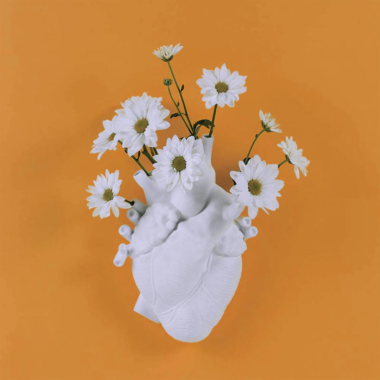 Modern Handmade Ceramic Heart-shaped Vase Nordic Heartbeat Wall Hanging Flower Pot Flower Arrangement Home Decoration Ornaments 
Modern Handmade Ceramic Heart-shaped Vase Nordic Heartbeat Wall Hanging Flower Pot Flower Arrangement Home Decoration Ornaments