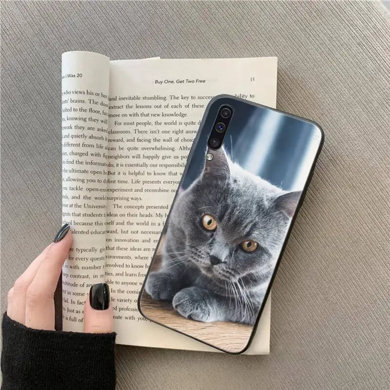 Cute animal British Shorthair cat Phone Case For Samsung galaxy A S note 10 7 8 9 20 30 31 40 50 51 70 71 21 s ultra plus
Cute animal British Shorthair cat Phone Case For Samsung galaxy A S note 10 7 8 9 20 30 31 40 50 51 70 71 21 s ultra plus