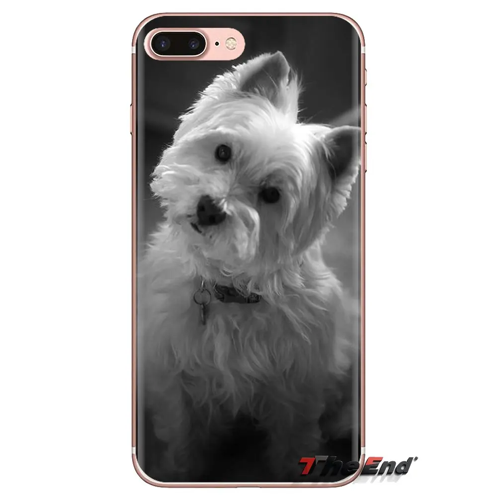 Прозрачный чехол из ТПУ с надписью I Love My Westie щенками мопса для iPod Touch Apple iPhone 4