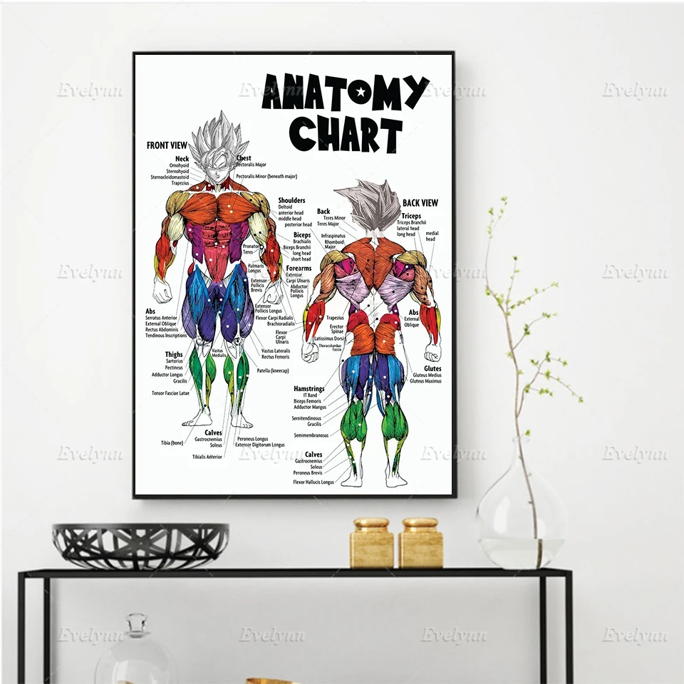 Nordic Anime Goku Anatomy Chart Poster and Print Abstract Wall Art Canvas Painting Home Decor Modular Pictures Boy's Living Room
Nordic Anime Goku Anatomy Chart Poster and Print Abstract Wall Art Canvas Painting Home Decor Modular Pictures Boy's Living Room