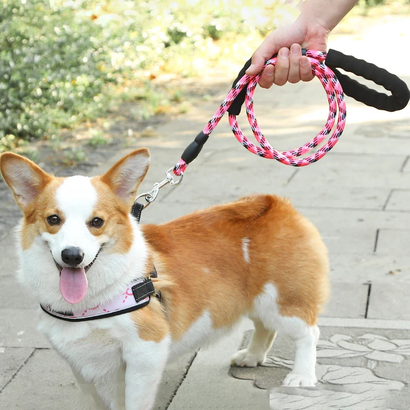 V Shape Dogs Harness Big Dog Collar and Leash Nylon Pet Products French Bull Dog Accessories for Large Dogs Products Top Sellers
V Shape Dogs Harness Big Dog Collar and Leash Nylon Pet Products French Bull Dog Accessories for Large Dogs Products Top Sellers