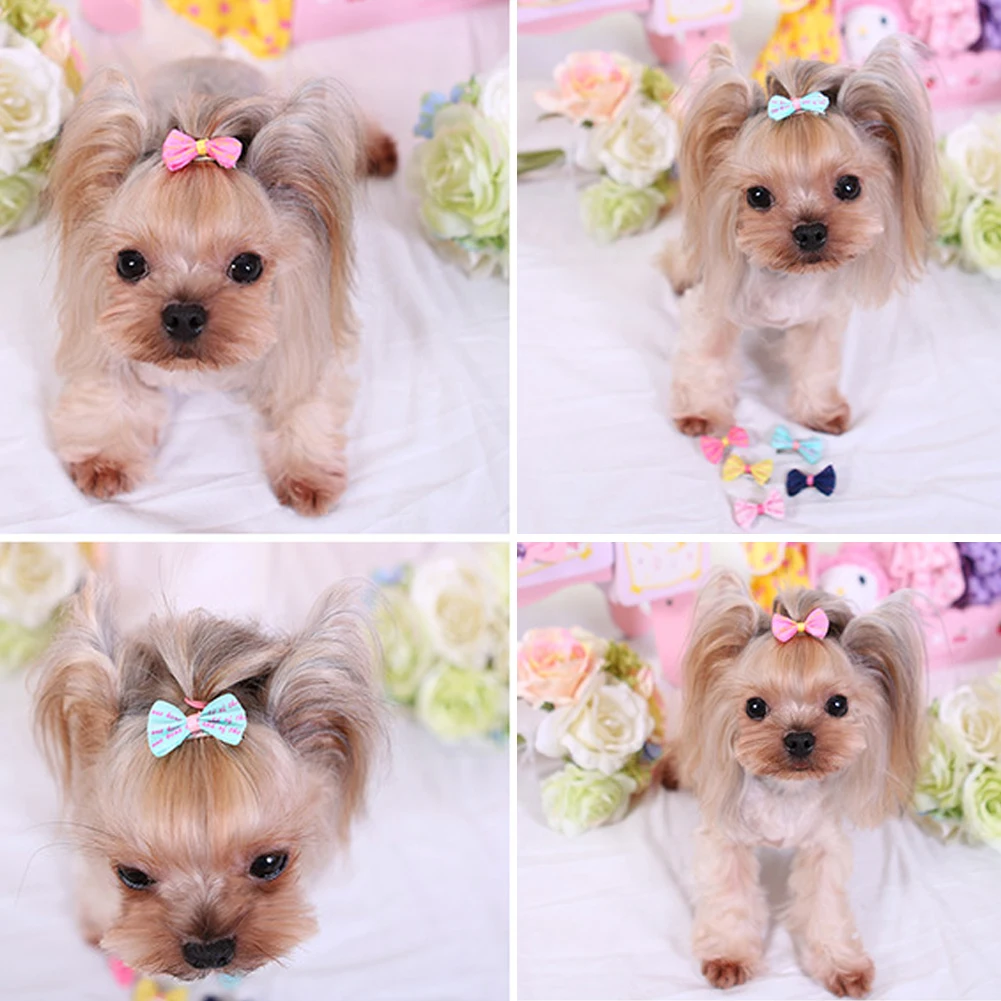4pcs Pet Dogs Hair Clips Cat Hair Accessories Cute Pet Grooming Bow Supplies Colorful Barrettes Hairgrip Cartoon Flower Hairpins
4pcs Pet Dogs Hair Clips Cat Hair Accessories Cute Pet Grooming Bow Supplies Colorful Barrettes Hairgrip Cartoon Flower Hairpins