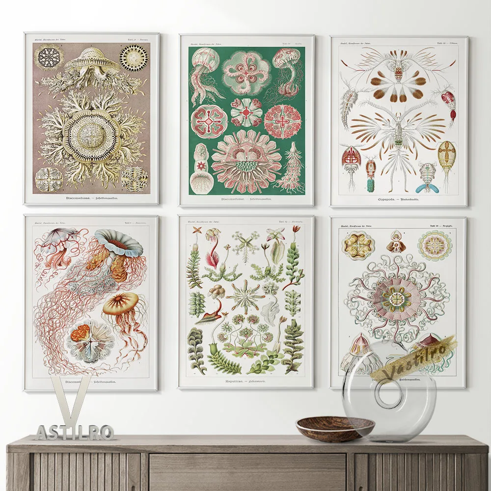 Ernst Haeckel Exhibition Museum Poster Art Forms In Nature Surrealism Illustration Prints Canvas Painting Kids Room Home Decor
Ernst Haeckel Exhibition Museum Poster Art Forms In Nature Surrealism Illustration Prints Canvas Painting Kids Room Home Decor