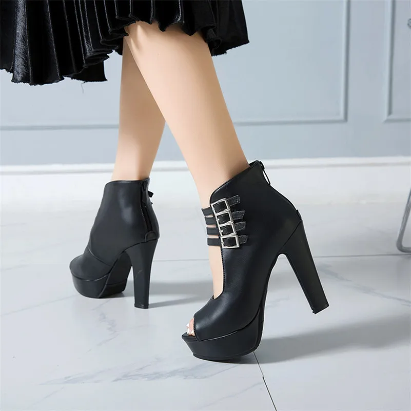 Meotina, , , , , 46
Meotina, , , , , 46