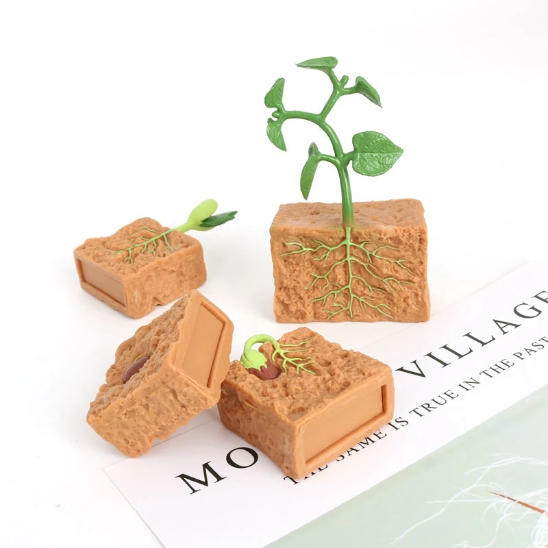 4PCS Simulation Life Cycle of a Green Bean Plant Growth Cycle Model Collection Science Educational Toys for Children
4PCS Simulation Life Cycle of a Green Bean Plant Growth Cycle Model Collection Science Educational Toys for Children