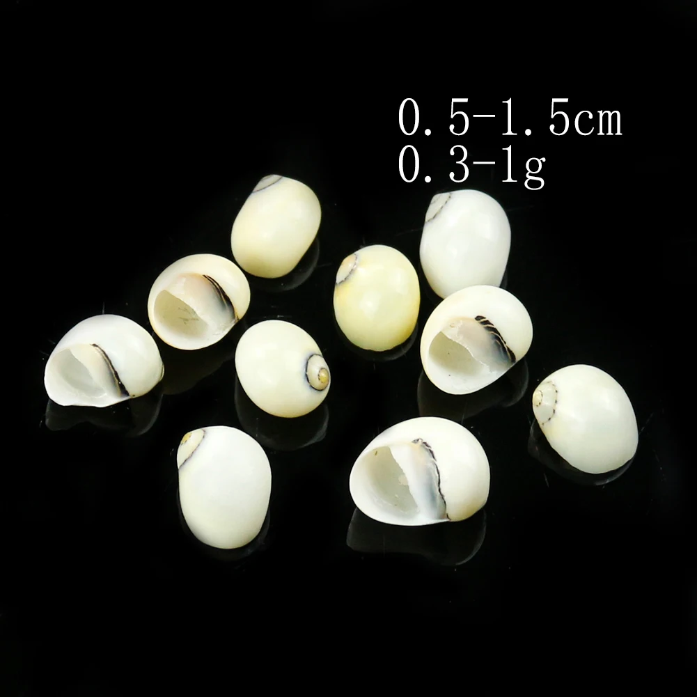 5PCS White Jade Snail Seashells Collection Specimen Natural Mini Conch Shell Ocean Nautical Home Decor Aquariuem Micro Landscape
5PCS White Jade Snail Seashells Collection Specimen Natural Mini Conch Shell Ocean Nautical Home Decor Aquariuem Micro Landscape